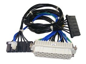 Complex wiring harness