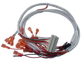 Complex wiring harness